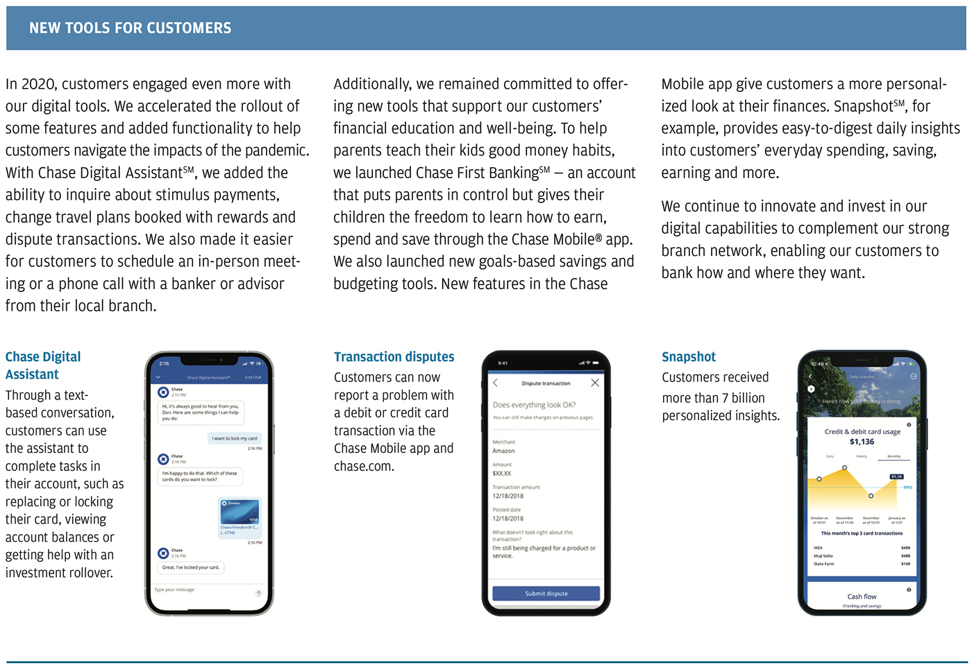 Chart showing customer tools in the chase app